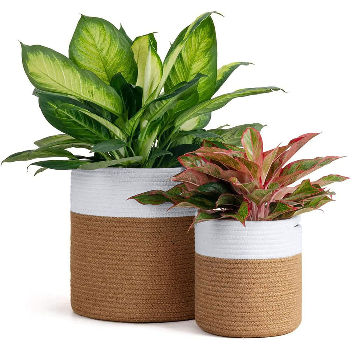 Cestos siendo utilizados de una manera elegante con plantas de plastico