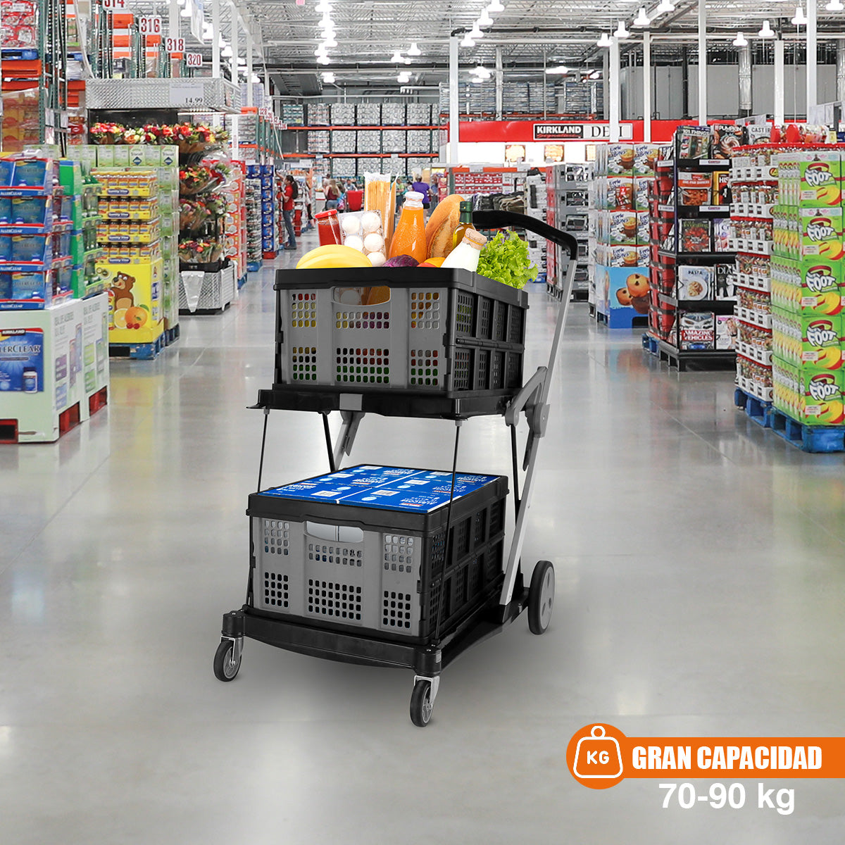 Carro de compras Multiusos Plegable 2 niveles AGBOX
