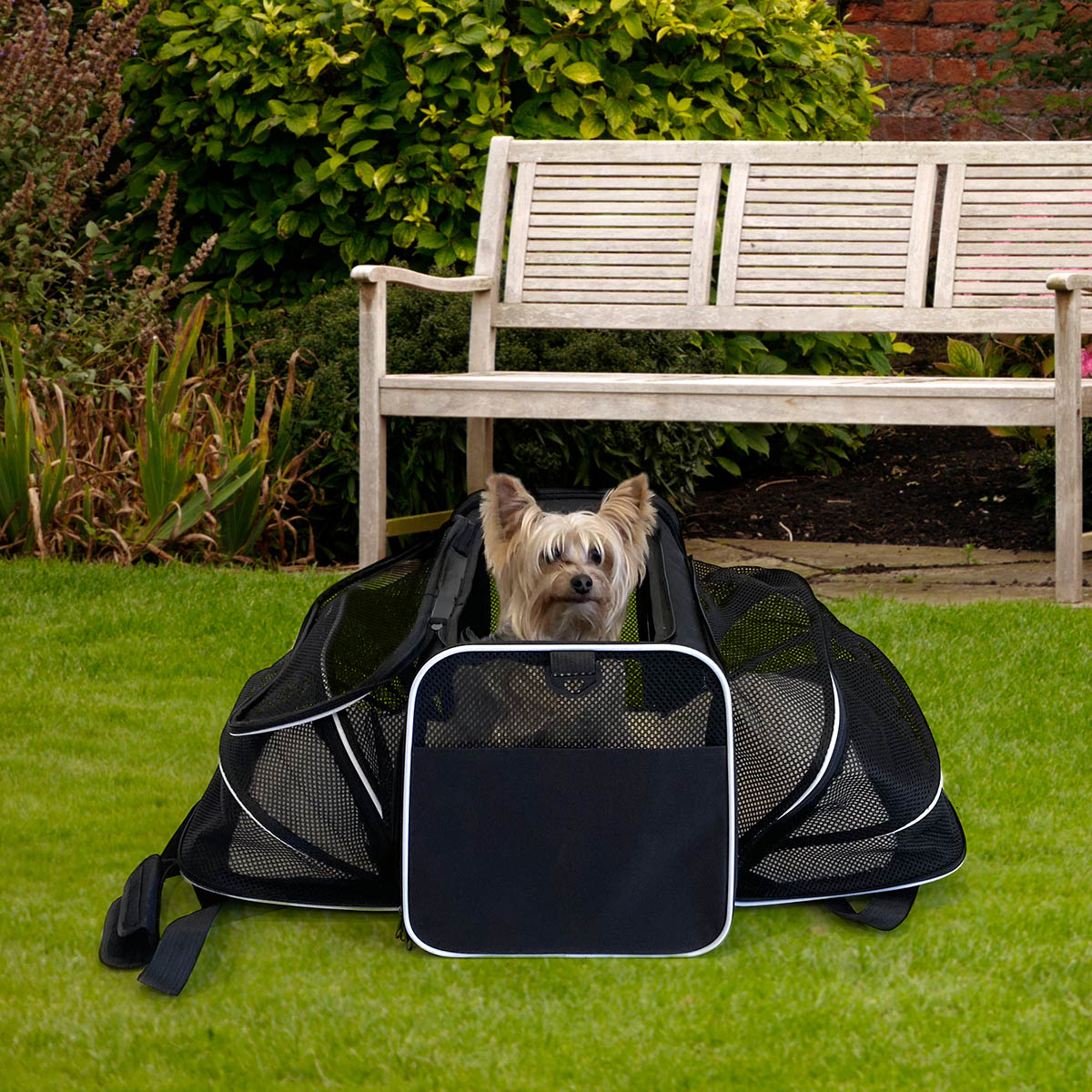Maleta con ruedas y maleta plegable para mascota razas pequeñas AG BOX